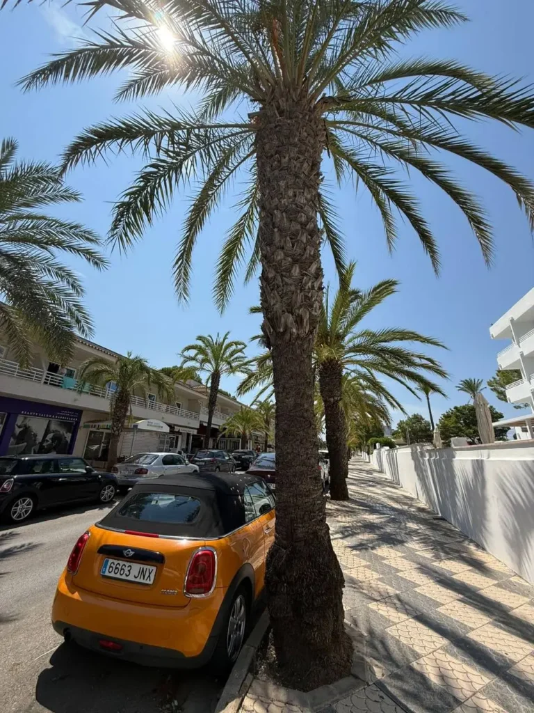 cheap car hire larnaca