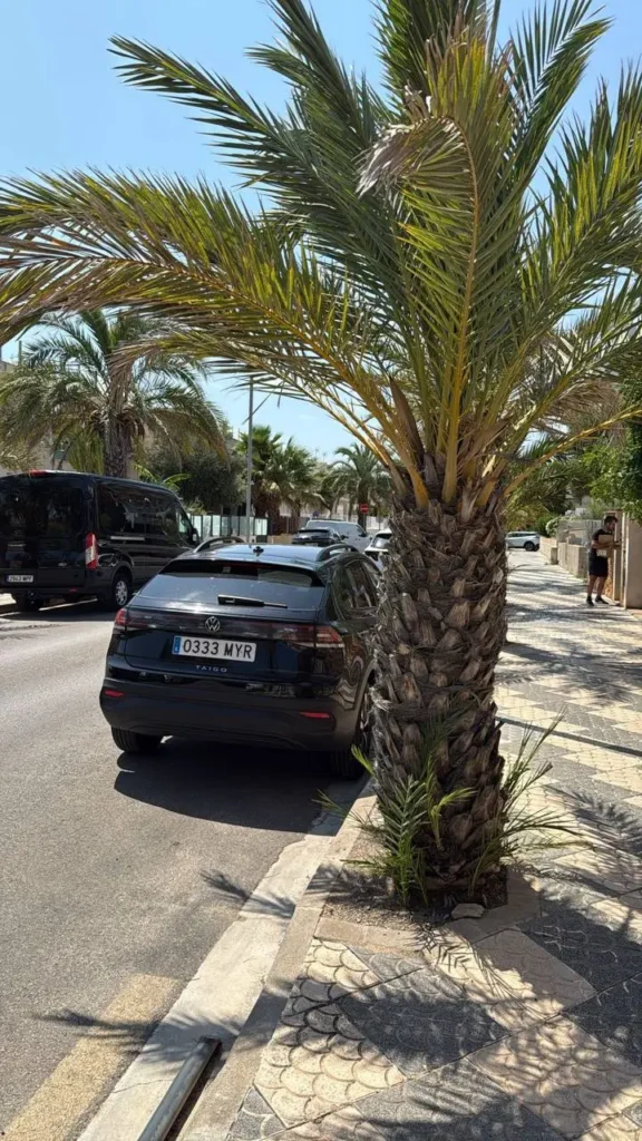 suv rental